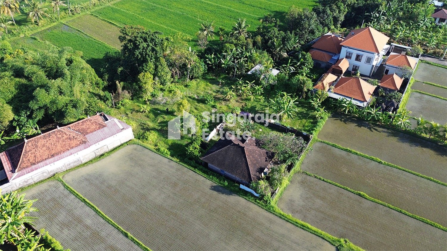 18 Are Land with Rice Field View Just 7 Mins to Singaraja City